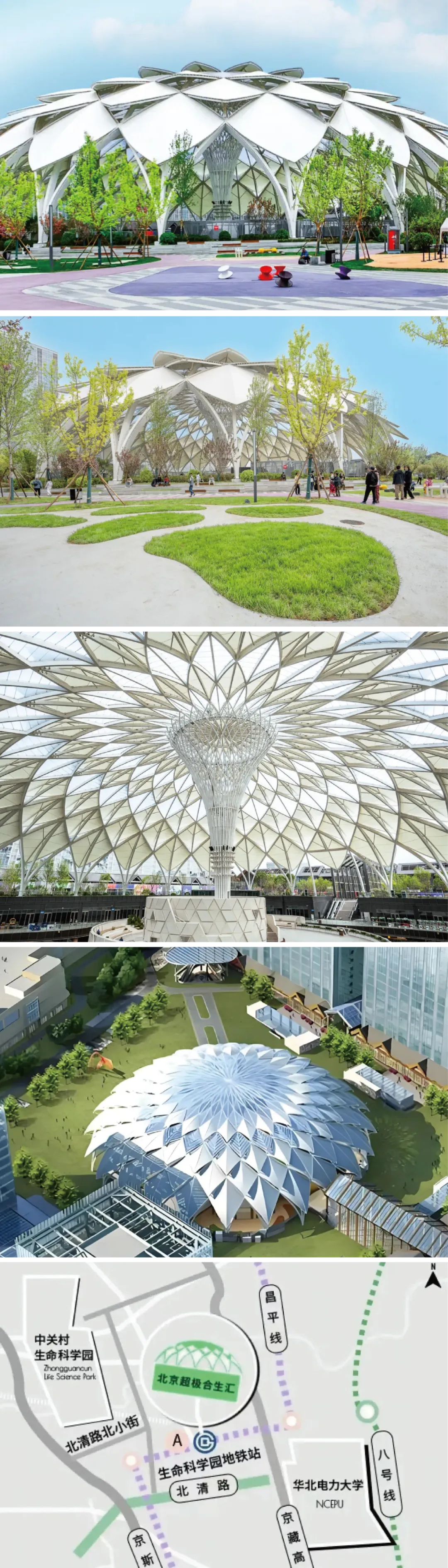 膜结构的魅力—穹顶天幕的魔法时刻 膜结构的魅力—穹顶天幕的魔法时刻