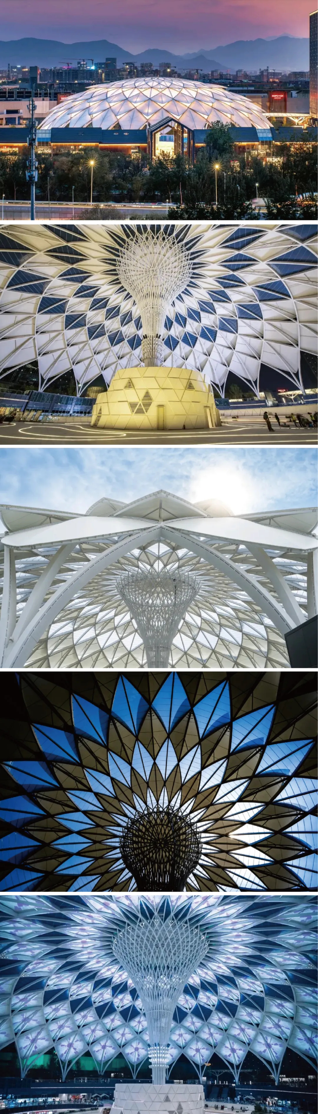 膜结构的魅力—穹顶天幕的魔法时刻 膜结构的魅力—穹顶天幕的魔法时刻