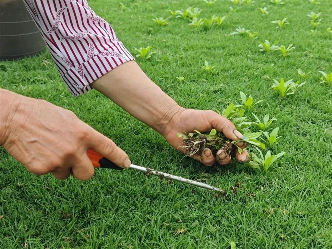 万豪集团匠心助力,6月齐聚重庆龙兴足球场为国足呐喊助威! 万豪集团匠心助力,6月齐聚重庆龙兴足球场为国足呐喊助威!