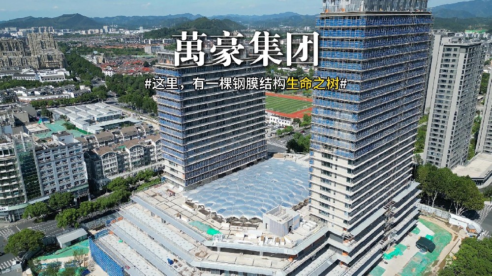 钢膜结构组成的生命之树